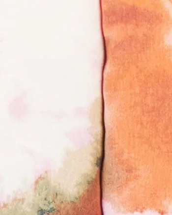 Canyon Top | Peony Multi