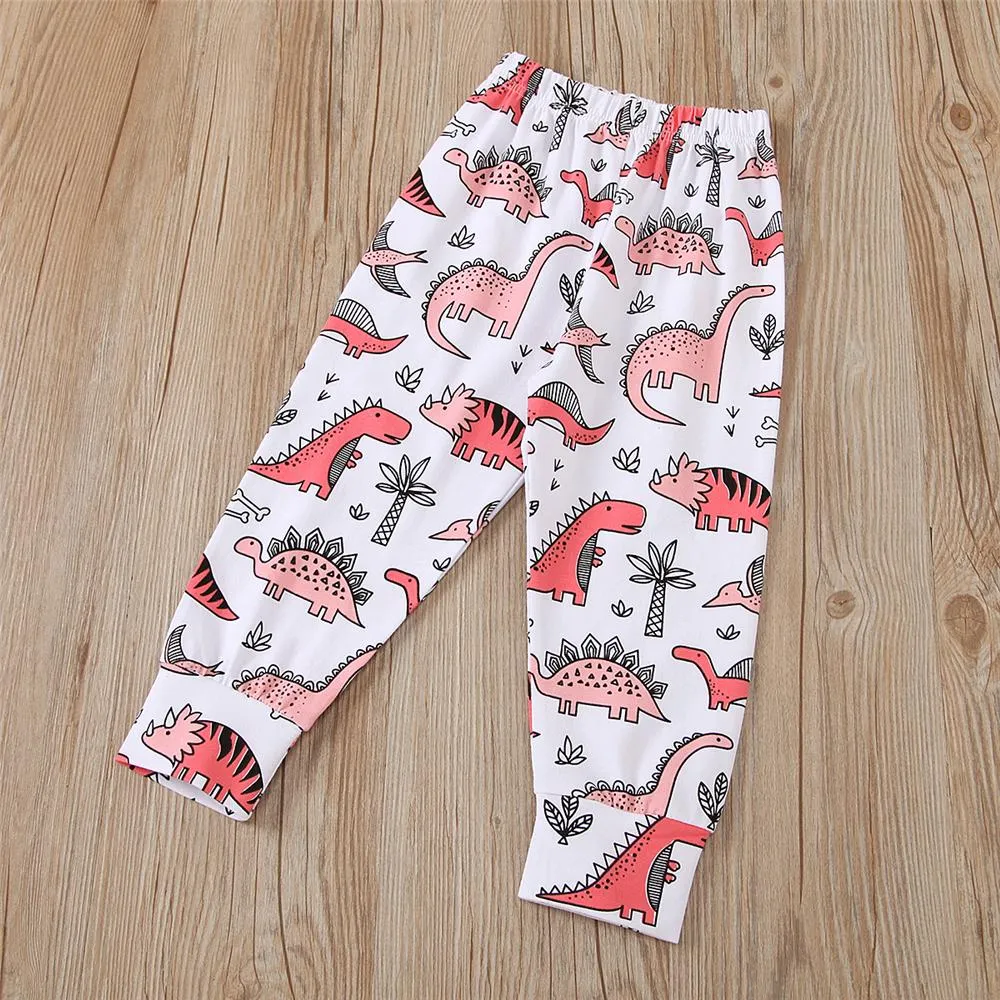 Girls Dinosaur Printed Long Sleeve T-shirt & Pants Girls Clothing Wholesale